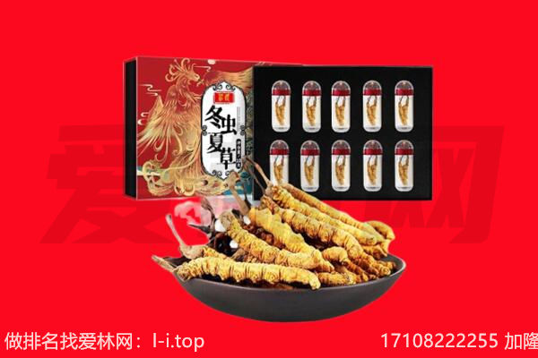 通辽回收虫草.jpg